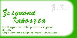 zsigmond kaposzta business card